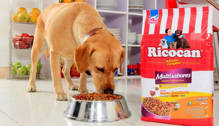 PETSHOP CHIEN TECKEL N°675 / AVEC AIMANT